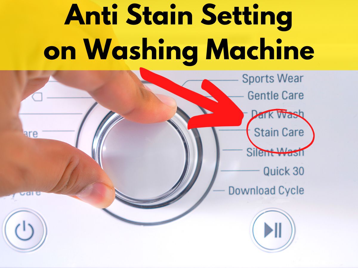 anti stain